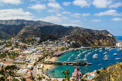 AVX Networks began marine survey work for a planned subsea fiber cable linking Catalina Island and Huntington Beach.