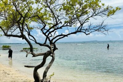 Coastal view of Ponce, Puerto Rico