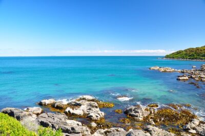 Rocky coastline at Bluff on New Zealand's South Island