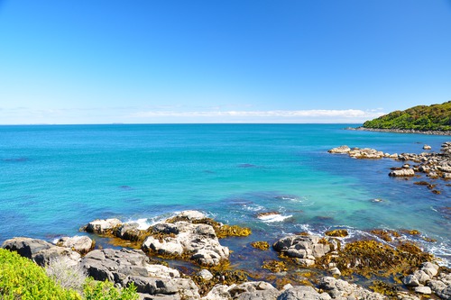 Rocky coastline at Bluff on New Zealand's South Island