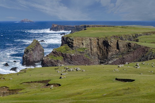 Coastal cliffs in the Shetland Islands, illustrating the new subsea cable feasibility study